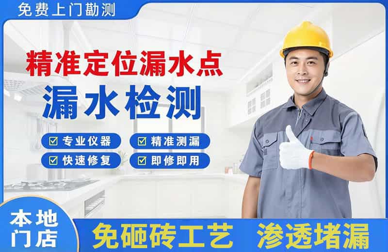 茄子河精准测漏点